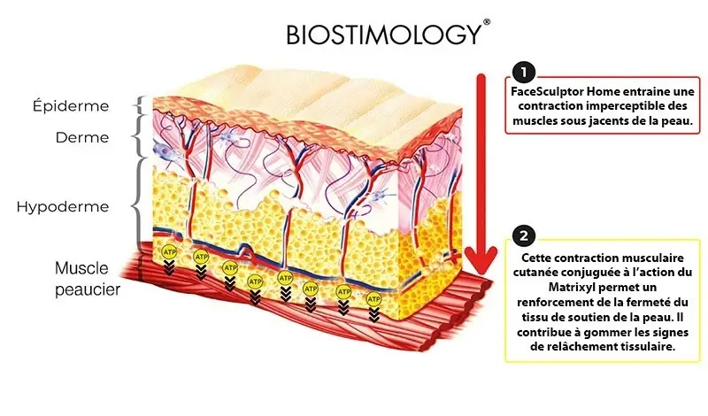 Masque liftant Bodysculptor mode d'action