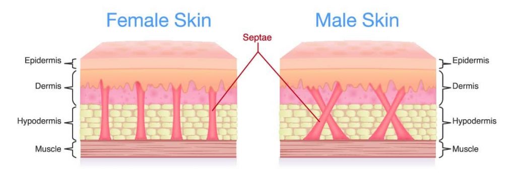 Difference between men and women's skin